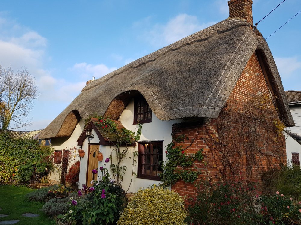 Thatch Shield Ltd - Thatched Insurance Specialist