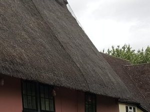 Thatch Shield Ltd - Just Had Your Thatch Insurance Renewal?