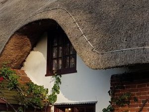 Thatch Shield Ltd - Thatched Insurance Specialist